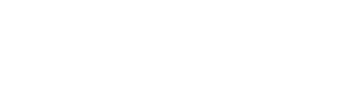 Zometric